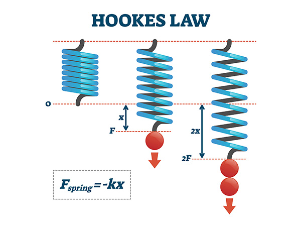 Spring Hooke's Law